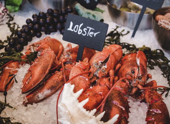 Seeing The Best Of New England’s Seafood On The Road